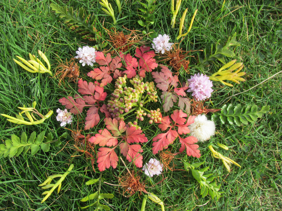 A spring nature mandala made of fallen leaves, petals, and small flowers arranged in circles on grass