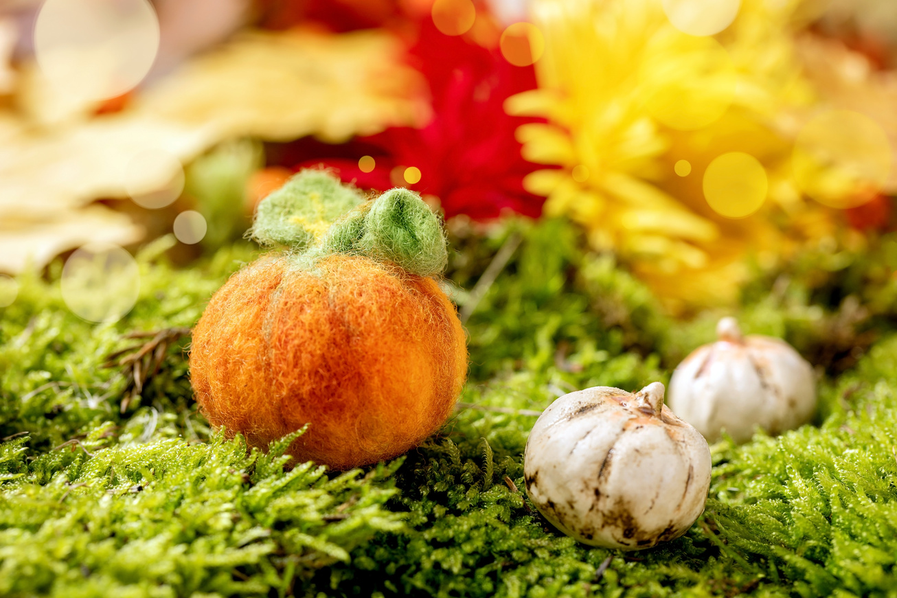 A wet-felted orange wool pumpkin with a green stem, sitting on moss